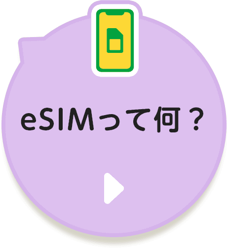 eSIMって何？