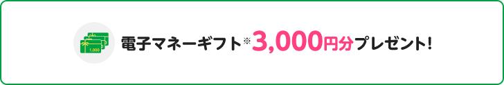 電子マネーギフト※3,000円分プレゼント!