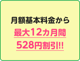 月額基本料金から最大12カ月間528円割引!!