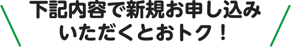 下記内容で新規お申し込みいただくとおトク！