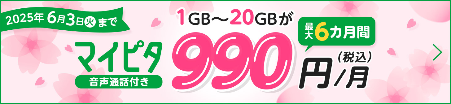 2025年6月3日（火）まで マイピタ 音声通話付き 1GB～20GBが最大6カ月間 990円/月（税込）