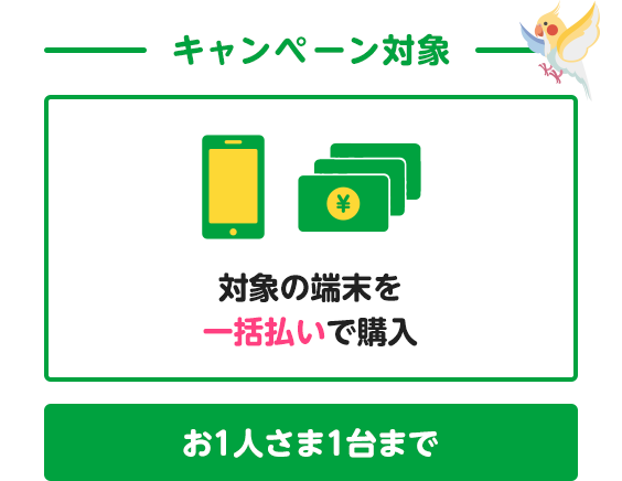 キャンペーン対象 対象の端末を一括払いで購入 お1人さま1台まで