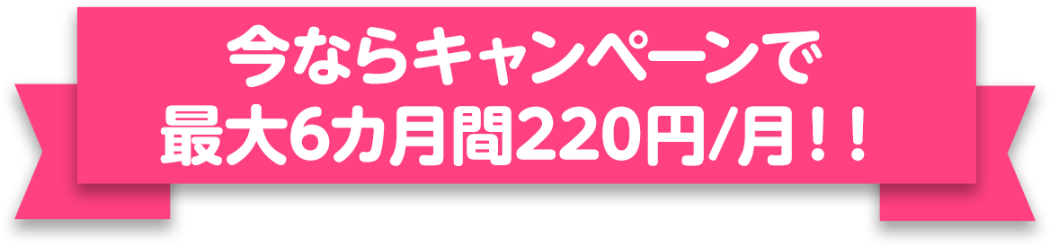 今ならキャンペーンで最大6カ月間220円/月！！