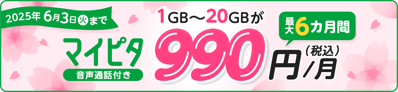 2025年6月3日（火）まで マイピタ 音声通話付き 1GB～20GBが最大6カ月間990円（税込）/月