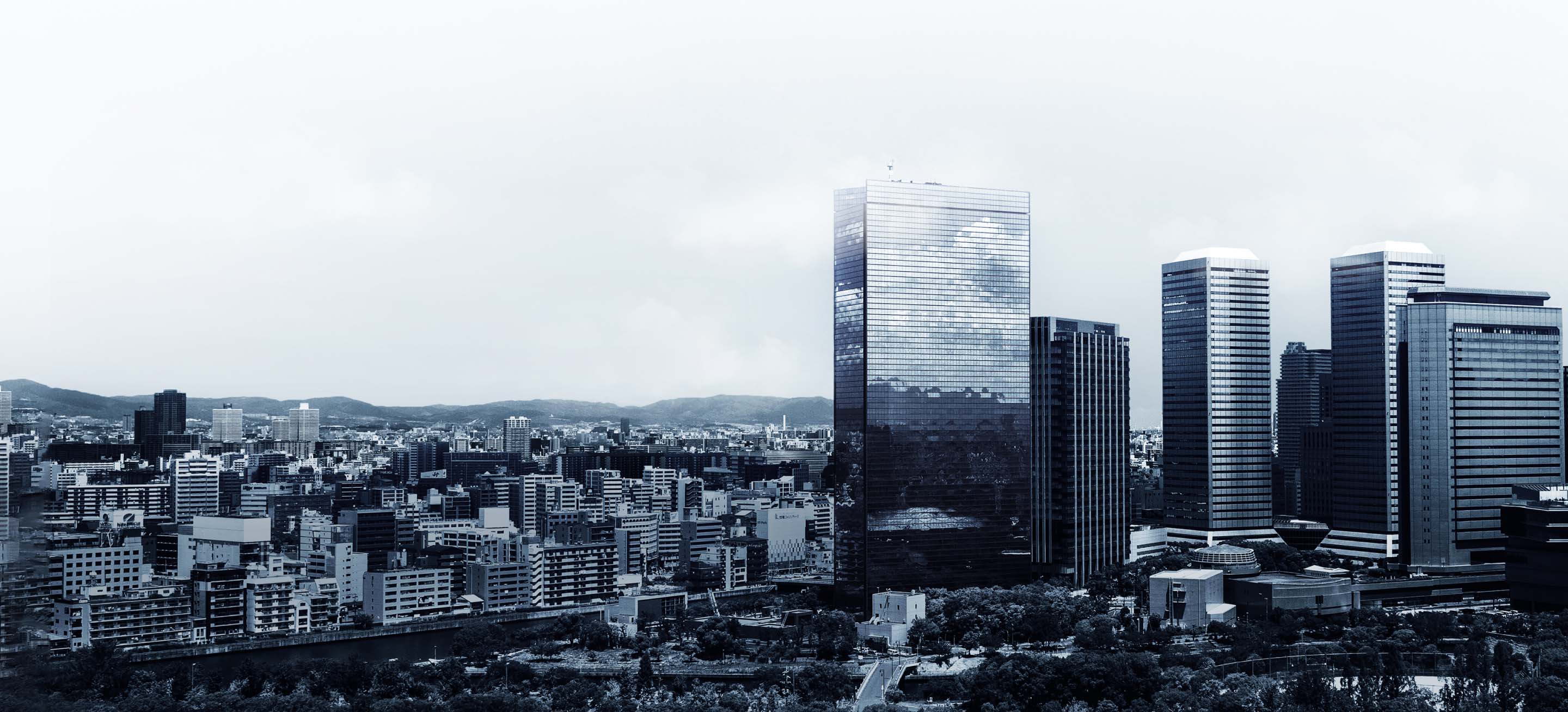 mineo BiZ Connected for Growth