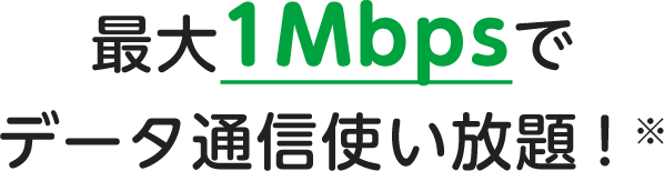 最大1Mbpsでデータ通信使い放題！※