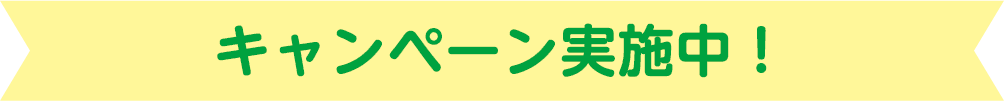 キャンペーン実施中！