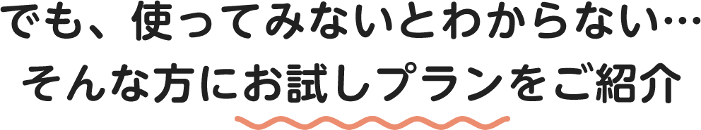 でも、使ってみないとわからない…そんな方にお試しプランをご紹介